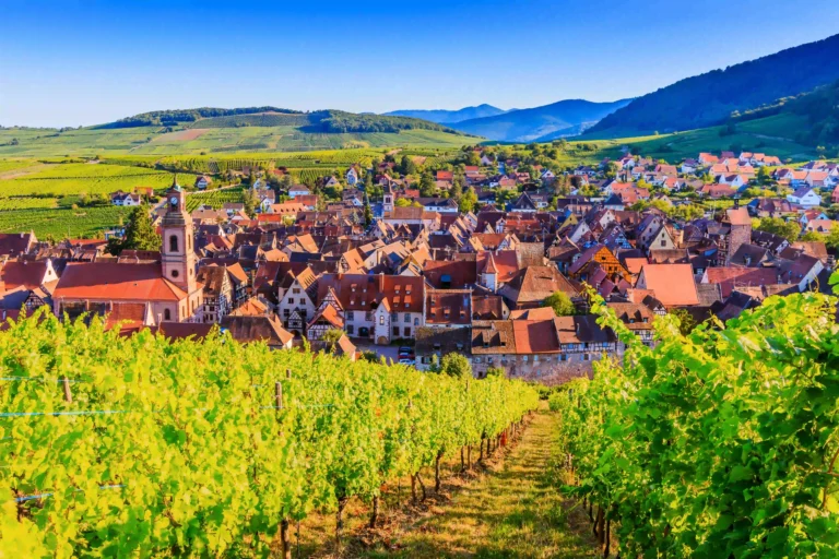 Découvrez notre camping à petits prix près de Colmar en Alsace.