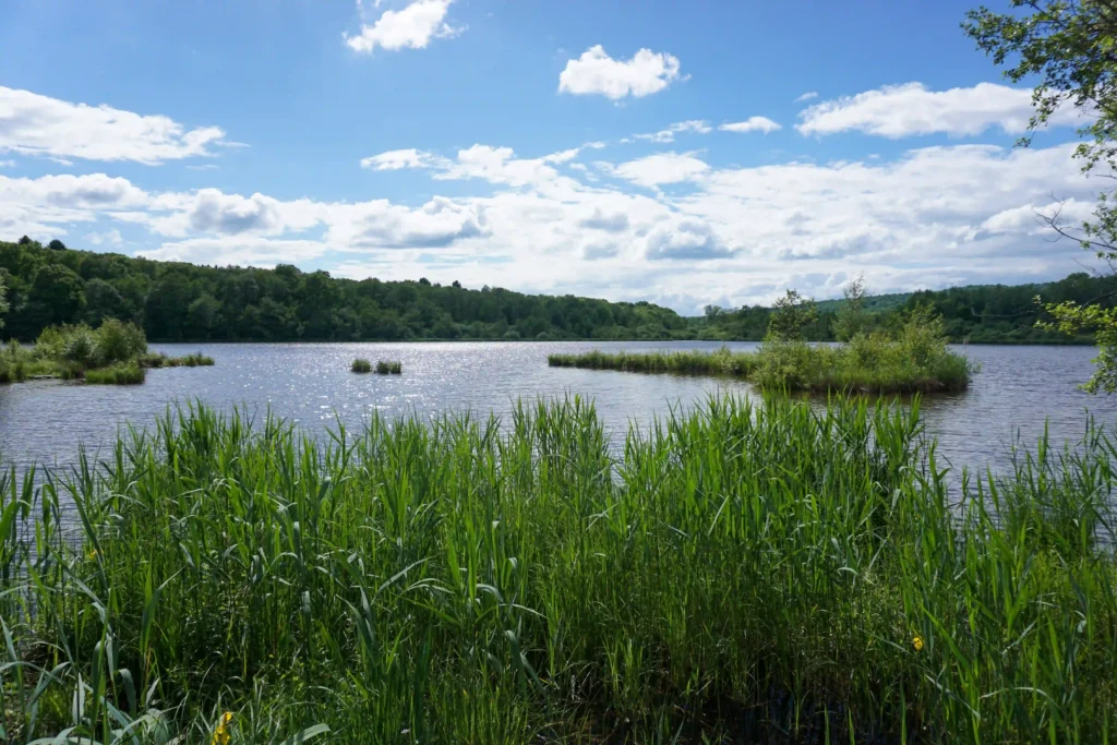 Lac du Malsaucy près du camping à Belfort.