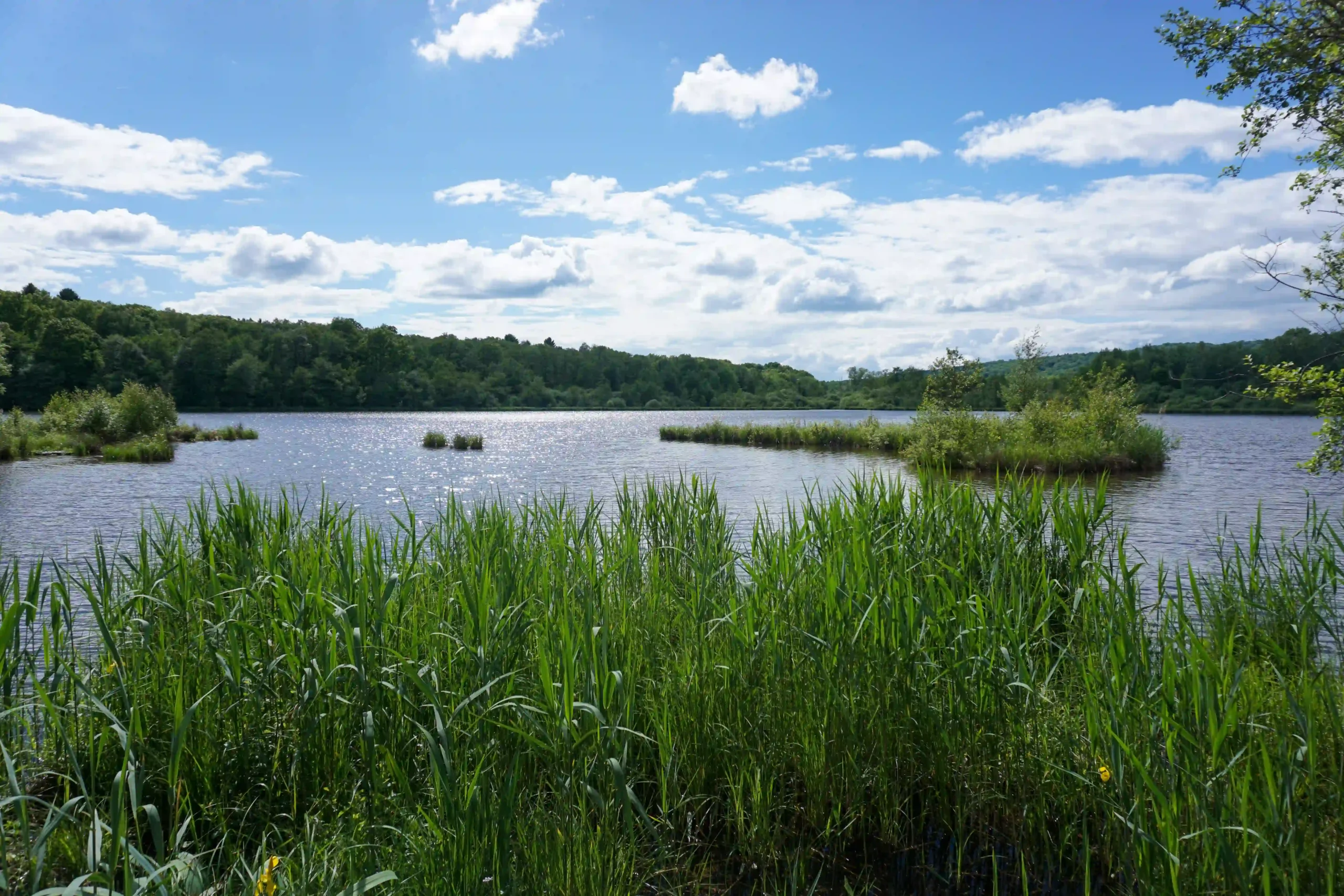 Lac du Malsaucy près du camping à Belfort.